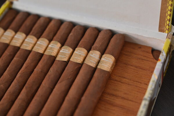 波尔拉腊尼加 蒙卡洛斯（Por Larrañaga Montecarlos）雪茄