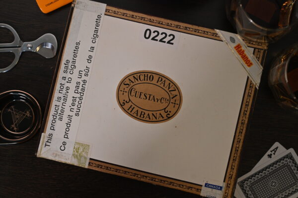 桑丘潘沙 桑丘（Sancho Panza Sancho）