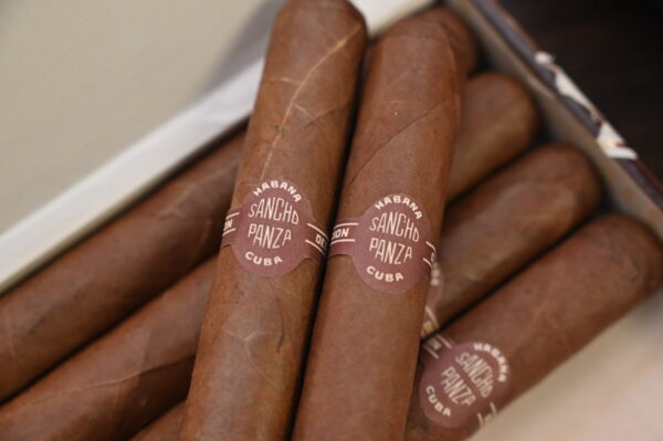 桑丘潘沙 桑丘（Sancho Panza Sancho）