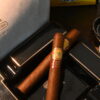 世界之王（El Rey del Mundo Royal Series）雪茄
